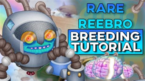 It is found on Water Island and can be teleported to Ethereal Island once fed to level 15. . How to breed reebro
